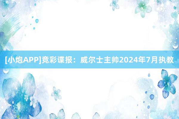 [小炮APP]竞彩谍报：威尔士主帅2024年7月执教