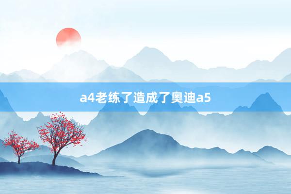 a4老练了造成了奥迪a5