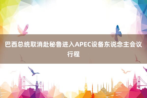 巴西总统取消赴秘鲁进入APEC设备东说念主会议行程