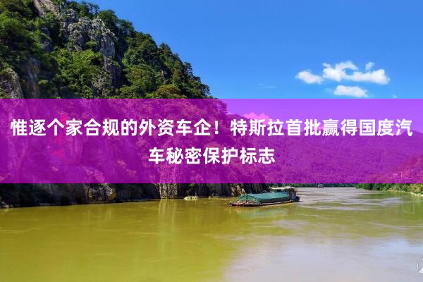 惟逐个家合规的外资车企！特斯拉首批赢得国度汽车秘密保护标志