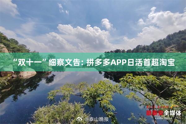 “双十一”细察文告: 拼多多APP日活首超淘宝